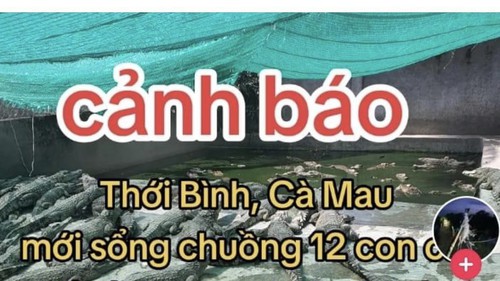 Xử lý chủ tài khoản Facebook đăng thông tin cá sấu sổng chuồng khiến người dân lo ngại