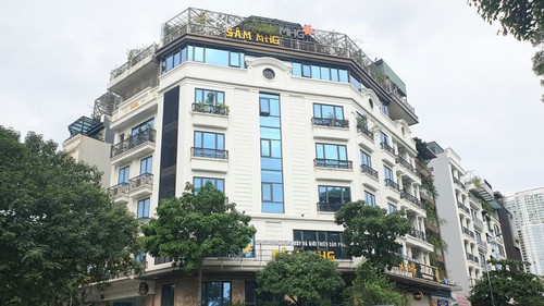 'Bánh vẽ' sâm Ngọc Linh: Cần làm rõ dấu hiệu lừa đảo từ hình thức huy động vốn