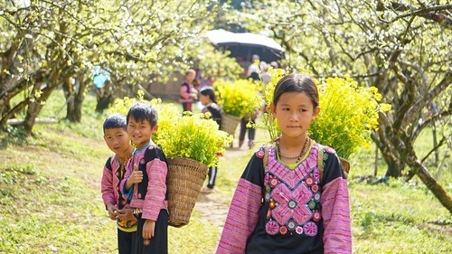 Vẻ đẹp bình yên và thơ mộng của cao nguyên Mộc Châu