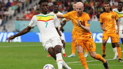 Nhận định bóng đá Guinea vs Senegal (0h00 hôm nay 24/1), cúp châu Phi