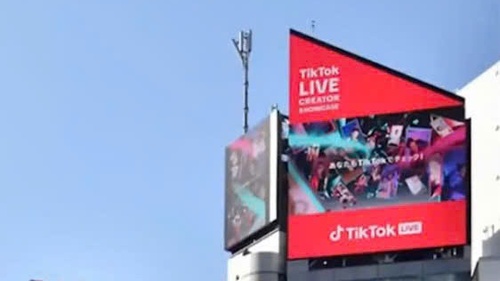 Khởi động TikTok LIVE Fest 2024 vinh danh các nhà sáng tạo nội dung số