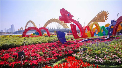 Muôn sắc hoa chào đón Xuân Giáp Thìn