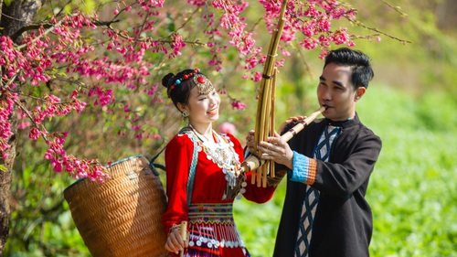 Nhiều lễ hội văn hoá đặc sắc đón Tết Giáp Thìn 2024 trên đỉnh Fansipan