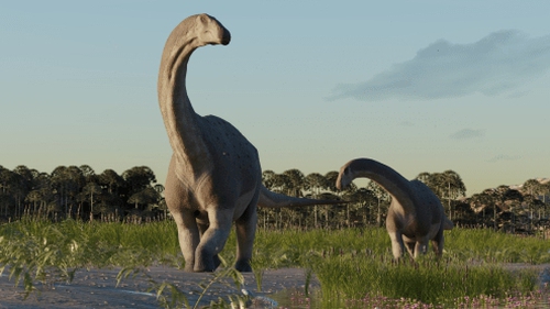 Phát hiện hóa thạch khủng long khổng lồ mới tại Argentina