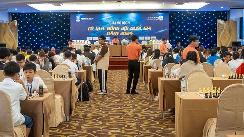 408 kỳ thủ góp mặt ở Giải vô địch Cờ vua đồng đội quốc gia 2024