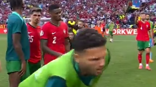 Hi hữu sao tuyển Bồ Đào Nha bị nhân viên an ninh đốn ngã khi truy đuổi fan cuồng Ronaldo
