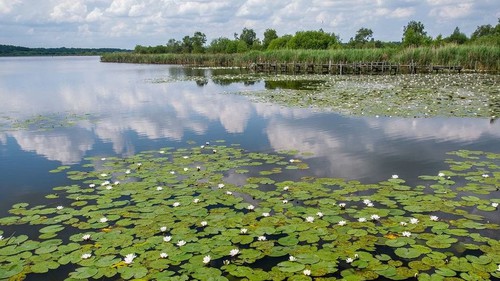 UNESCO công nhận Khu dự trữ sinh quyển đầu tiên tại Bỉ