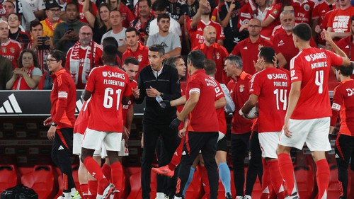 Nhận định, soi tỷ lệ Sao đỏ Belgrade vs Benfica (23h45, 19/9), cúp C1 châu Âu