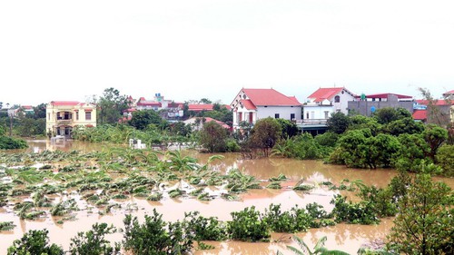 Tấm lòng người dân Hưng Yên gửi tới đồng bào vùng lũ