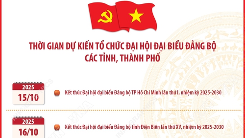 Thời gian dự kiến tổ chức Đại hội đại biểu Đảng bộ các tỉnh, thành phố