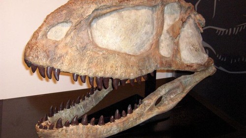 Phát hiện hóa thạch khủng long cổ nhất thế giới tại Argentina