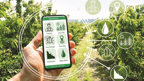 Ngày vì người nghèo Việt Nam: Khơi dậy ý chí phát huy nội lực vươn lên thoát nghèo