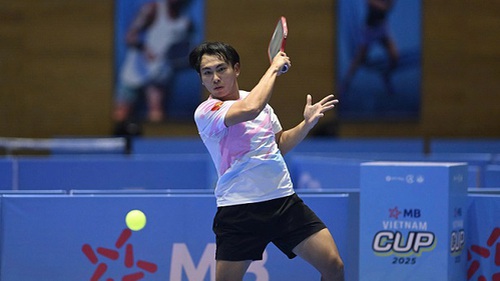 Tay vợt pickleball số 1 Việt Nam dừng bước tại giải đấu danh giá bậc nhất thế giới