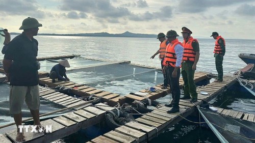 Từ Quảng Ninh đến Lâm Đồng chủ động ứng phó với bão số 12