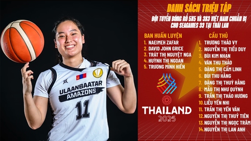 Rộ tin đồn ngôi sao Việt kiều bất ngờ lỡ hẹn với SEA Games 33, CĐV tiếc nuối