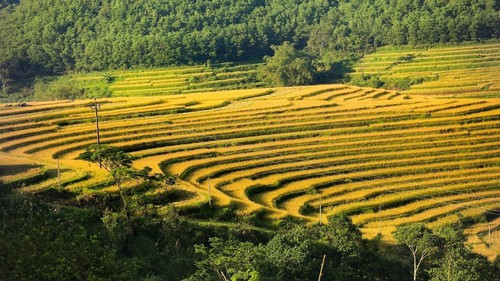 Đưa ruộng bậc thang Miền Đồi trở thành điểm đến hấp dẫn trên bản đồ du lịch Việt Nam