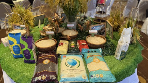 Thông qua nội dung Bản ghi nhớ hợp tác thương mại gạo Việt Nam - Singapore