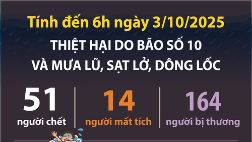 Thiệt hại do bão số 10 và mưa lũ, sạt lở, dông lốc