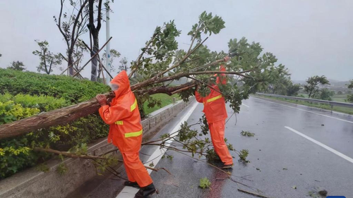 Trung Quốc ban bố cảnh báo Cam về bão Matmo
