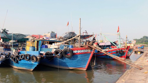 Hải Phòng cấm nhiều hoạt động ở cửa sông, ven biển, ngoài khơi