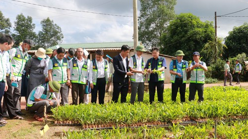 Tinh gọn bộ máy: Giải quyết tình trạng nơi thừa, nơi thiếu nhân lực