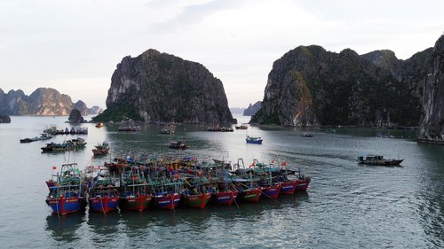 Bão số 11 không gây thiệt hại đến khu vực Móng Cái