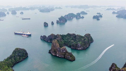 Vẻ đẹp của Việt Nam mang đến những trải nghiệm ấn tượng cho du khách quốc tế