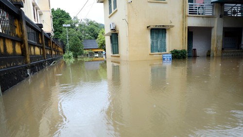 Mưa lớn gây ngập úng nhiều nơi ở Tuyên Quang