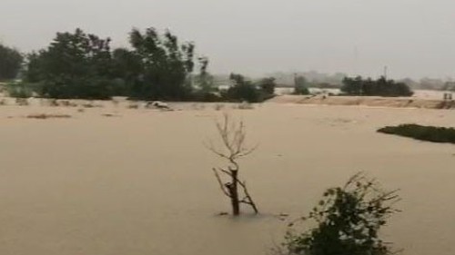 Dự báo lũ sông Cầu đạt đỉnh vào trưa và chiều 9/10 ​