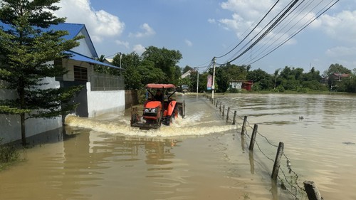 Ứng cứu hơn 2.400 hộ dân ở xã Trung Giã, Hà Nội bị cô lập