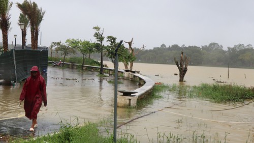 Bão số 14 khả năng suy yếu dần thành áp thấp nhiệt đới