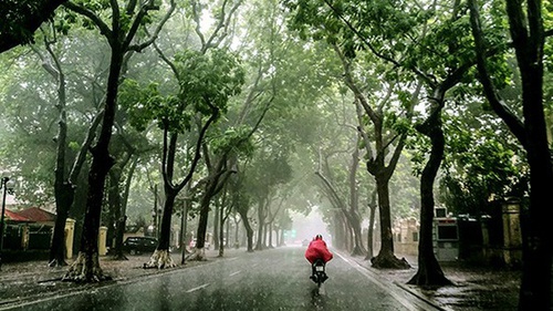Dự báo thời tiết ngày và đêm 8/9/2023: Hà Nội có mưa rào và dông
