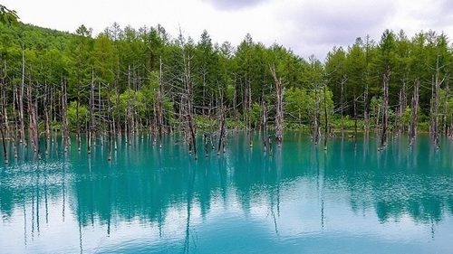 Nhật Bản: Hồ Xanh ở Hokkaido lấp lánh trong lễ hội ánh sáng