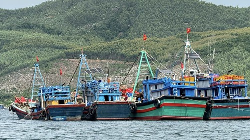 Bão số 15: Đắk Lắk ban hành lệnh cấm biển