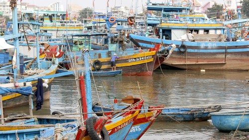 Ứng phó bão số 15: Hơn 360 tàu thuyền đã được hướng dẫn neo đậu an toàn