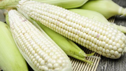 Chữ và nghĩa: Từ "ngô" đến "bắp"