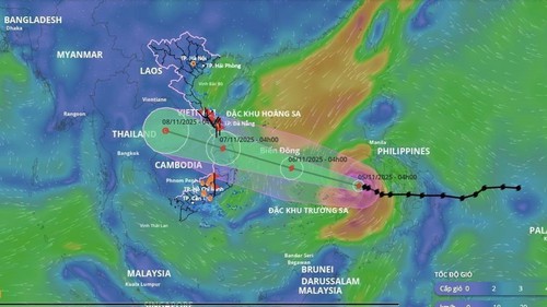 Tin bão khẩn cấp: Cơn bão số 13