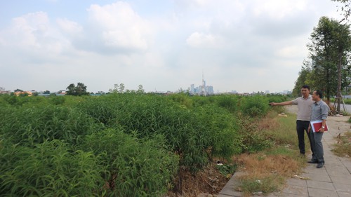 Góp ý Dự thảo Văn kiện Đại hội XIV của Đảng: Hướng đến nền kinh tế xanh, số hóa và tự cường