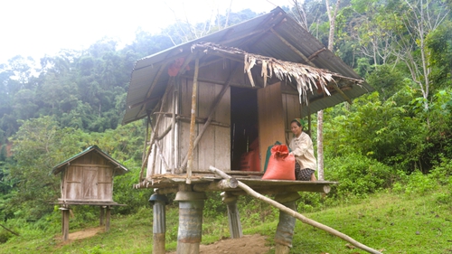 Độc đáo tri thức dân gian “lẩu khầu” giữa đại ngàn