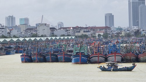 Theo dõi chặt chẽ tàu, thuyền đang hoạt động trên biển trước bão FUNG-WONG