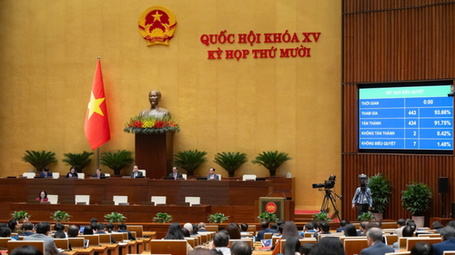 Từ bảo vệ "biên giới mềm" đến người yếu thế