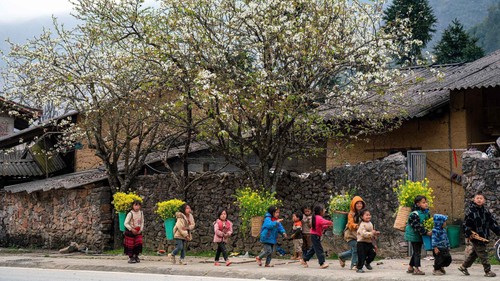 423.000 tỷ đồng cho Chương trình mục tiêu giảm nghèo vùng đồng bào dân tộc thiểu số