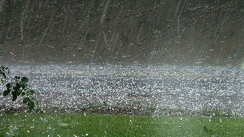 Nhiều khu vực trong cả nước có mưa, dông