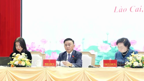 Thường trực Ban Bí thư Trần Cẩm Tú tiếp xúc cử tri tại tỉnh Lào Cai