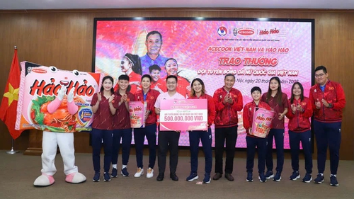 Vô địch trong lòng người hâm mộ, tuyển nữ Việt Nam nhận nhiều sự ủng hộ lớn