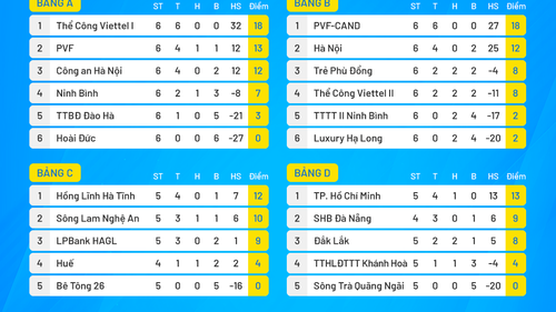 Xâm phạm thân thể trọng tài, HLV U19 Hà Tĩnh bị đình chỉ nhiệm vụ 6 trận và chịu phạt 7,5 triệu đồng