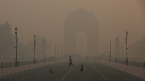Ô nhiễm không khí gây hơn 200.000 ca bệnh hô hấp trong 3 năm ở thủ đô Ấn Độ