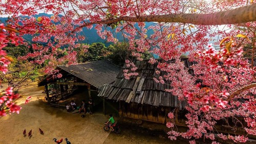 Nghệ An - điểm đến hút khách dịp Tết Dương lịch 2026