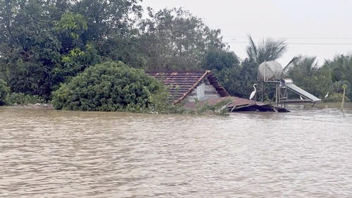 Lâm Đồng mưa nặng hạt kéo dài, nhiều khu vực bị ngập trở lại
