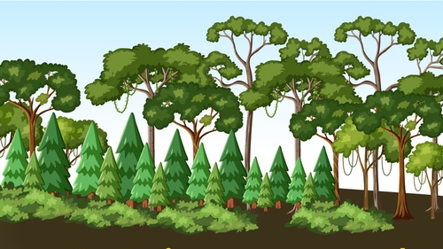 Hơn 1,4 tỷ cây đã được trồng trong giai đoạn 2021-2025